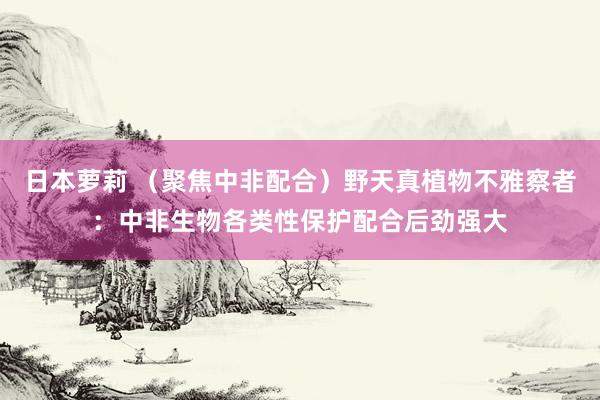 日本萝莉 （聚焦中非配合）野天真植物不雅察者：中非生物各类性保护配合后劲强大