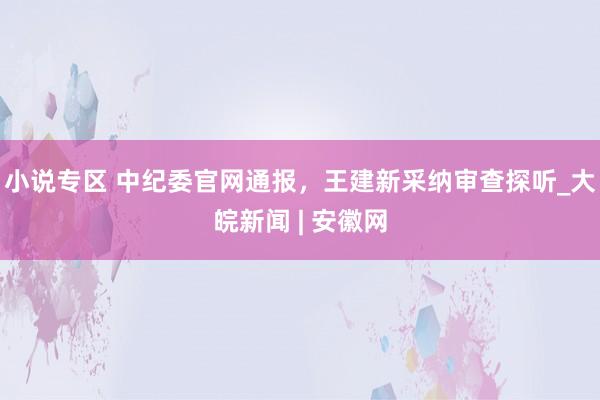 小说专区 中纪委官网通报，王建新采纳审查探听_大皖新闻 | 安徽网