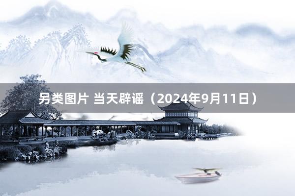 另类图片 当天辟谣（2024年9月11日）