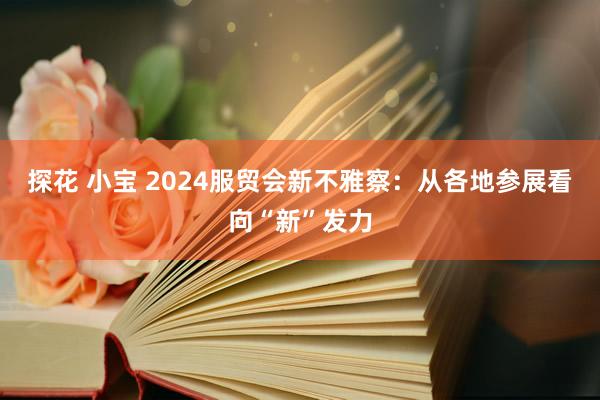 探花 小宝 2024服贸会新不雅察：从各地参展看向“新”发力