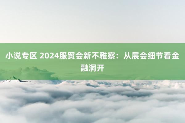 小说专区 2024服贸会新不雅察：从展会细节看金融洞开