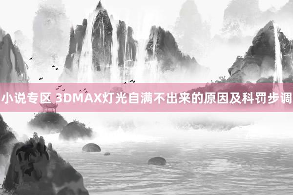 小说专区 3DMAX灯光自满不出来的原因及科罚步调