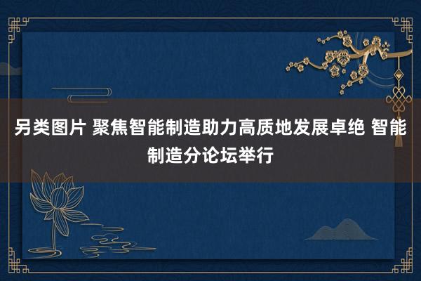 另类图片 聚焦智能制造助力高质地发展卓绝 智能制造分论坛举行