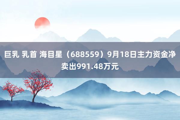 巨乳 乳首 海目星（688559）9月18日主力资金净卖出991.48万元