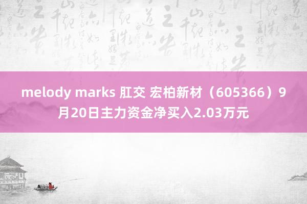 melody marks 肛交 宏柏新材（605366）9月20日主力资金净买入2.03万元