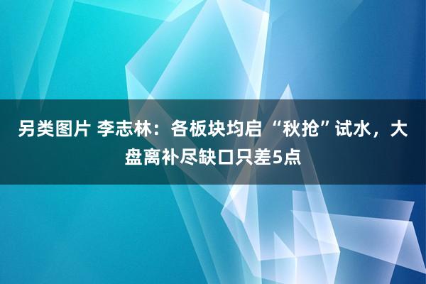 另类图片 李志林：各板块均启 “秋抢”试水，大盘离补尽缺口只差5点