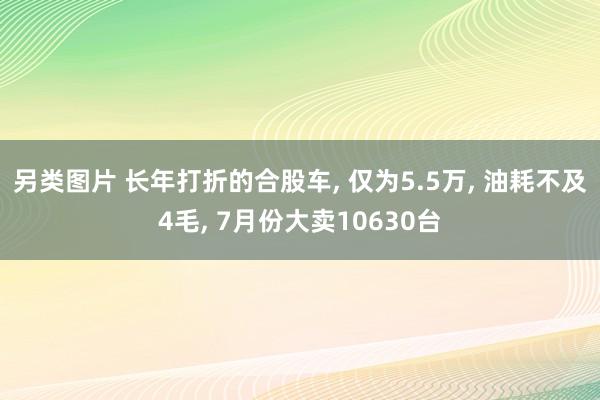 另类图片 长年打折的合股车， 仅为5.5万， 油耗不及4毛， 7月份大卖10630台