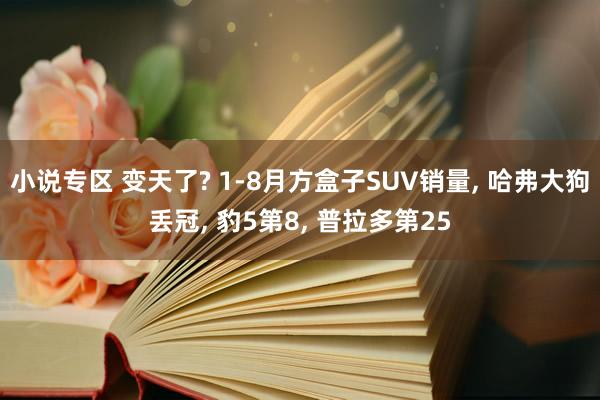 小说专区 变天了? 1-8月方盒子SUV销量， 哈弗大狗丢冠， 豹5第8， 普拉多第25