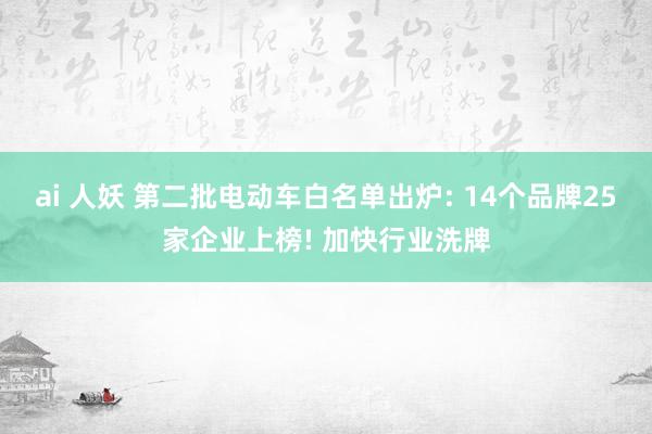 ai 人妖 第二批电动车白名单出炉: 14个品牌25家企业上榜! 加快行业洗牌