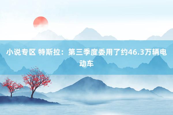 小说专区 特斯拉：第三季度委用了约46.3万辆电动车