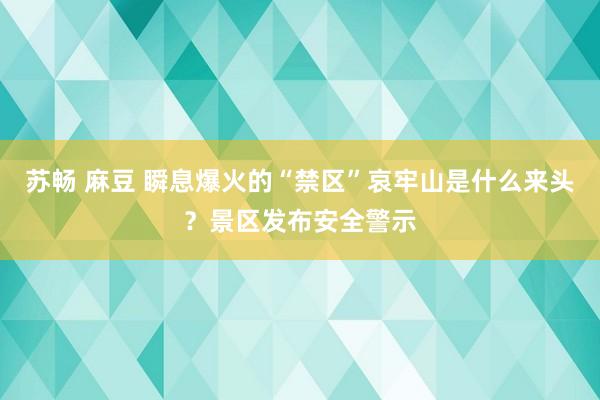 苏畅 麻豆 瞬息爆火的“禁区”哀牢山是什么来头？景区发布安全警示