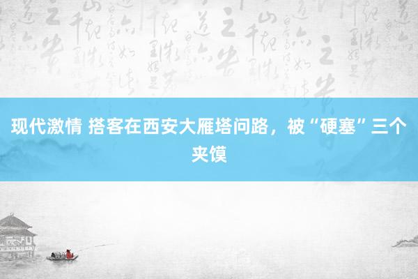 现代激情 搭客在西安大雁塔问路，被“硬塞”三个夹馍