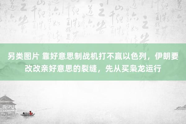 另类图片 靠好意思制战机打不赢以色列，伊朗要改改亲好意思的裂缝，先从买枭龙运行