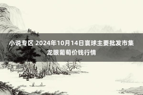 小说专区 2024年10月14日寰球主要批发市集龙眼葡萄价钱行情