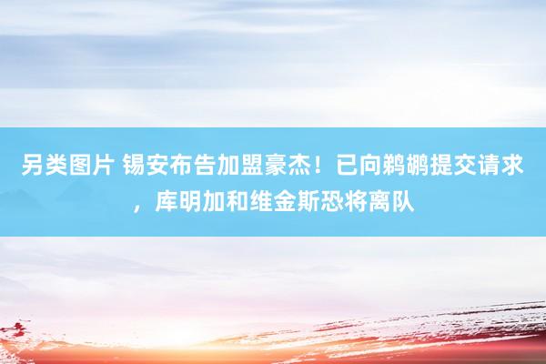 另类图片 锡安布告加盟豪杰！已向鹈鹕提交请求，库明加和维金斯恐将离队