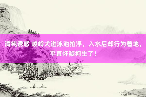 清纯诱惑 峻岭犬进泳池拍浮，入水后却行为着地，平直怀疑狗生了！