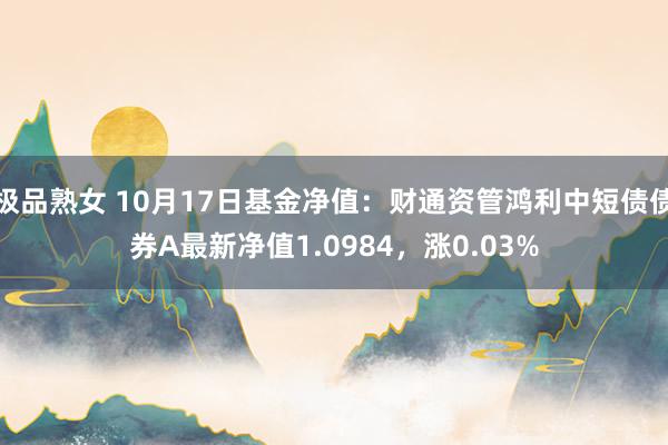 极品熟女 10月17日基金净值：财通资管鸿利中短债债券A最新净值1.0984，涨0.03%