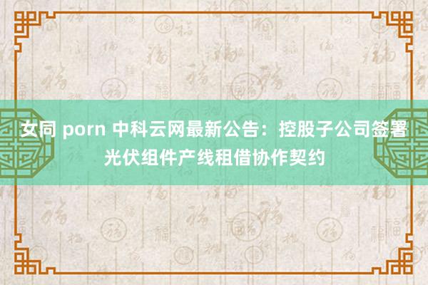 女同 porn 中科云网最新公告：控股子公司签署光伏组件产线租借协作契约