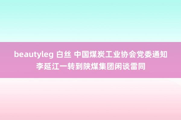 beautyleg 白丝 中国煤炭工业协会党委通知李延江一转到陕煤集团闲谈雷同