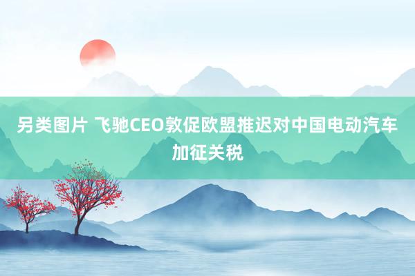 另类图片 飞驰CEO敦促欧盟推迟对中国电动汽车加征关税