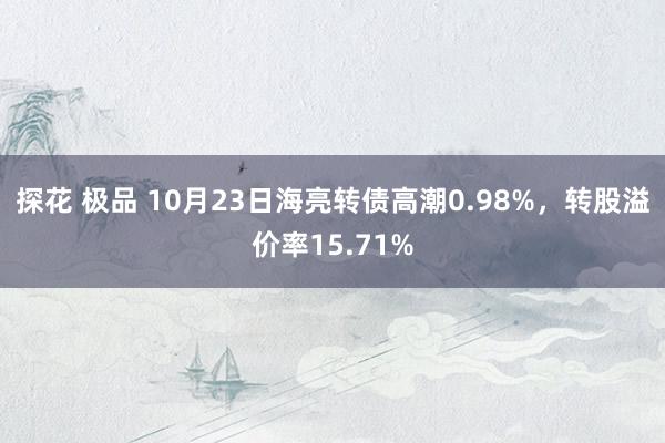 探花 极品 10月23日海亮转债高潮0.98%，转股溢价率15.71%