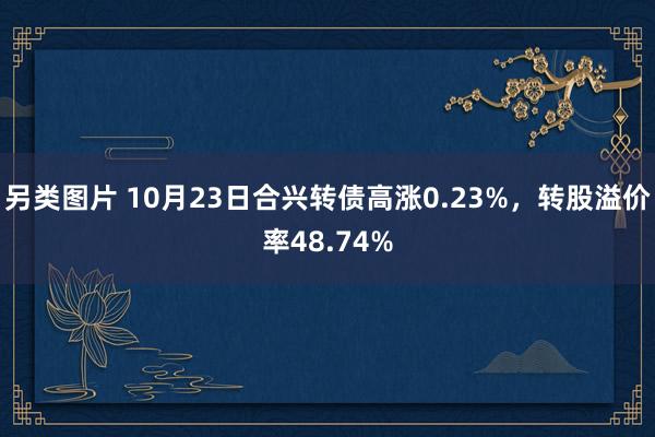 另类图片 10月23日合兴转债高涨0.23%，转股溢价率48.74%