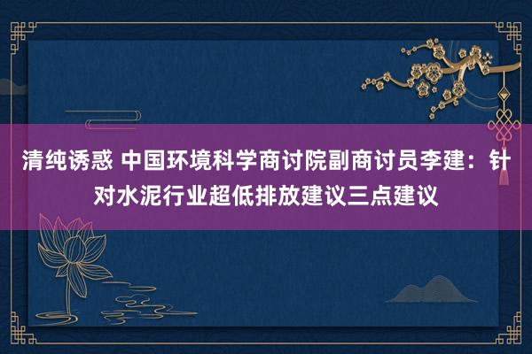 清纯诱惑 中国环境科学商讨院副商讨员李建：针对水泥行业超低排放建议三点建议