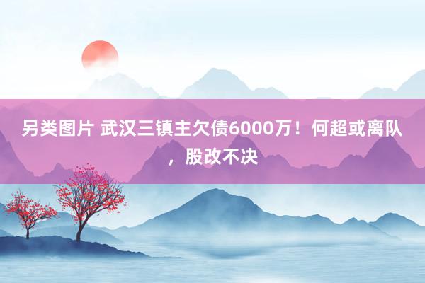 另类图片 武汉三镇主欠债6000万！何超或离队，股改不决