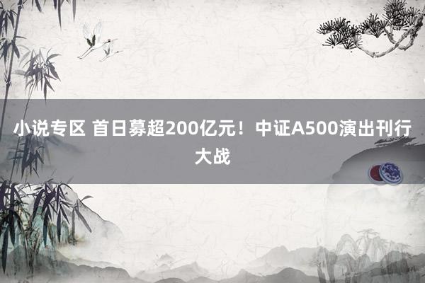 小说专区 首日募超200亿元！中证A500演出刊行大战