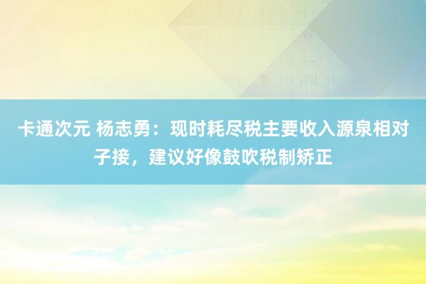 卡通次元 杨志勇：现时耗尽税主要收入源泉相对子接，建议好像鼓吹税制矫正