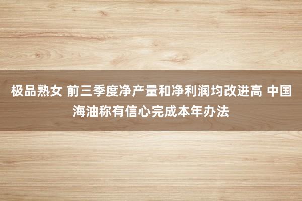 极品熟女 前三季度净产量和净利润均改进高 中国海油称有信心完成本年办法