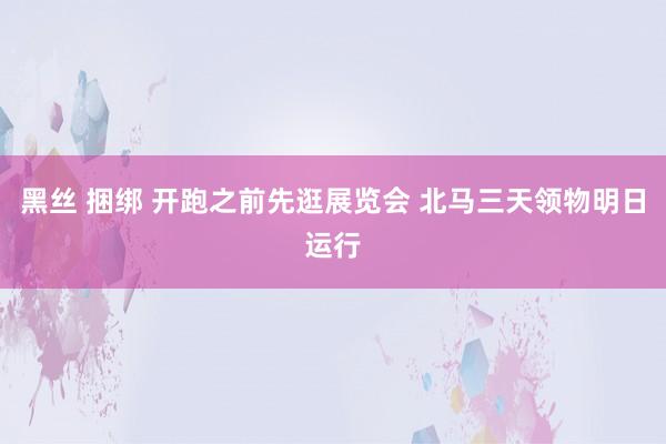 黑丝 捆绑 开跑之前先逛展览会 北马三天领物明日运行