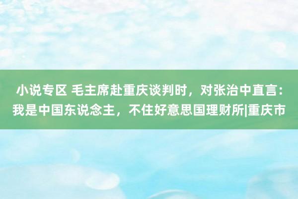 小说专区 毛主席赴重庆谈判时，对张治中直言：我是中国东说念主，不住好意思国理财所|重庆市