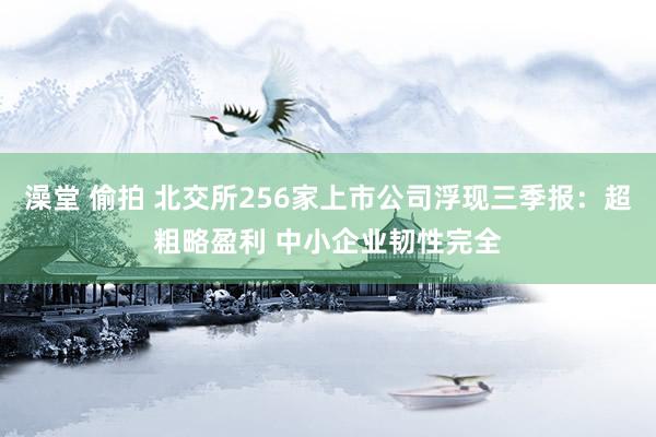 澡堂 偷拍 北交所256家上市公司浮现三季报：超粗略盈利 中小企业韧性完全