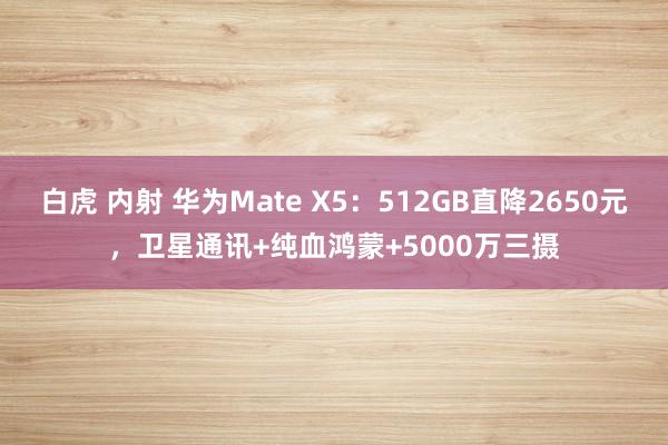 白虎 内射 华为Mate X5：512GB直降2650元，卫星通讯+纯血鸿蒙+5000万三摄