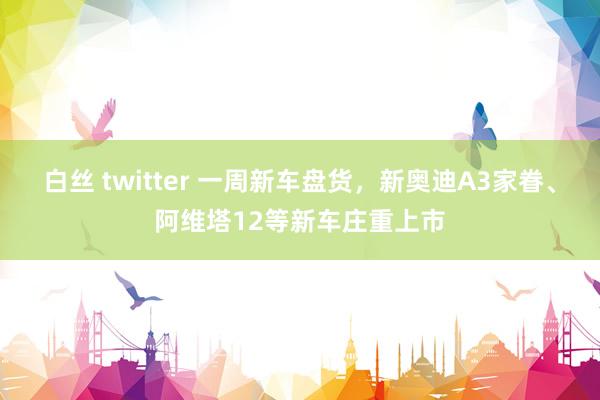 白丝 twitter 一周新车盘货，新奥迪A3家眷、阿维塔12等新车庄重上市