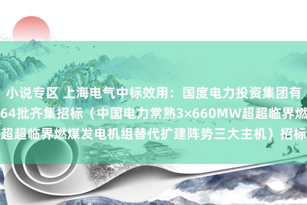 小说专区 上海电气中标效用：国度电力投资集团有限公司二〇二四年度第64批齐集招标（中国电力常熟3×660MW超超临界燃煤发电机组替代扩建阵势三大主机）招标中标效用公示