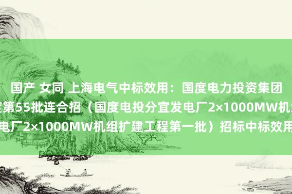 国产 女同 上海电气中标效用：国度电力投资集团有限公司二〇二四年度第55批连合招（国度电投分宜发电厂2×1000MW机组扩建工程第一批）招标中标效用公示