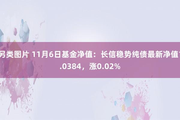 另类图片 11月6日基金净值：长信稳势纯债最新净值1.0384，涨0.02%