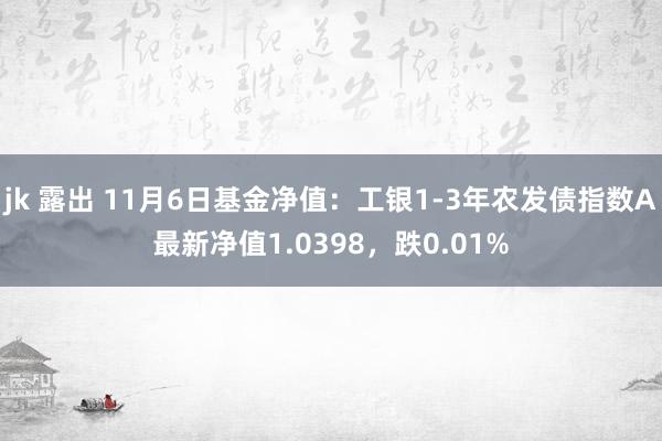 jk 露出 11月6日基金净值：工银1-3年农发债指数A最新净值1.0398，跌0.01%