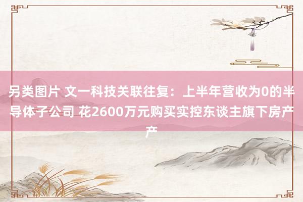 另类图片 文一科技关联往复：上半年营收为0的半导体子公司 花2600万元购买实控东谈主旗下房产