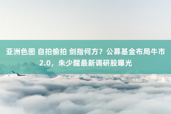 亚洲色图 自拍偷拍 剑指何方？公募基金布局牛市2.0，朱少醒最新调研股曝光