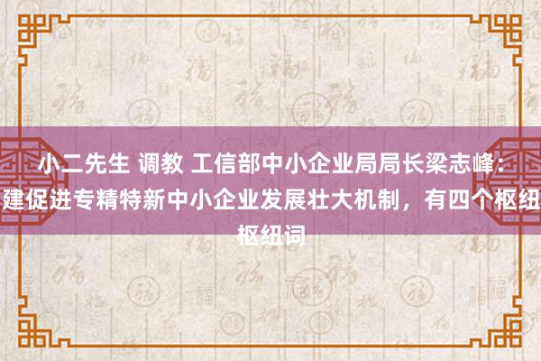 小二先生 调教 工信部中小企业局局长梁志峰：构建促进专精特新中小企业发展壮大机制，有四个枢纽词