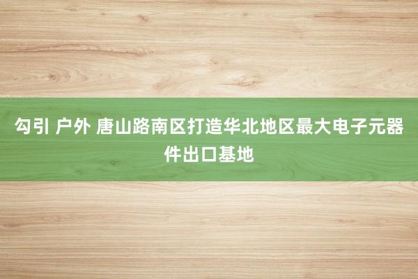 勾引 户外 唐山路南区打造华北地区最大电子元器件出口基地