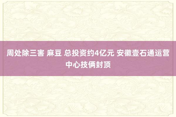 周处除三害 麻豆 总投资约4亿元 安徽壹石通运营中心技俩封顶