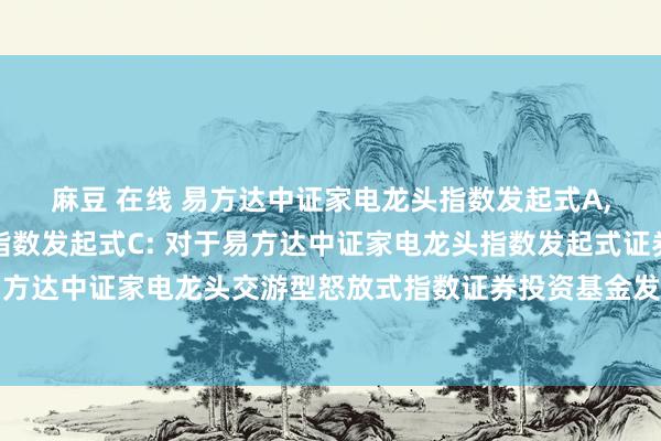 麻豆 在线 易方达中证家电龙头指数发起式A，易方达中证家电龙头指数发起式C: 对于易方达中证家电龙头指数发起式证券投资基金变更为易方达中证家电龙头交游型怒放式指数证券投资基金发起式都集基金并更正基金合同和托管公约的公告