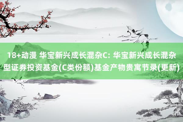 18+动漫 华宝新兴成长混杂C: 华宝新兴成长混杂型证券投资基金(C类份额)基金产物贵寓节录(更新)