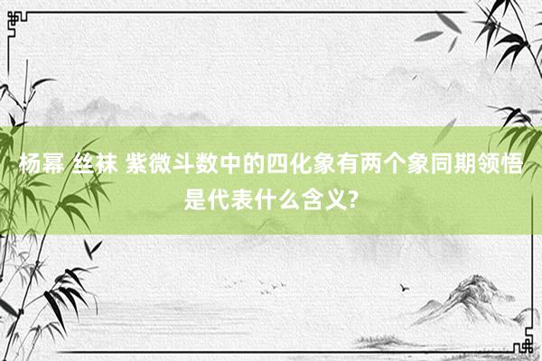 杨幂 丝袜 紫微斗数中的四化象有两个象同期领悟是代表什么含义?