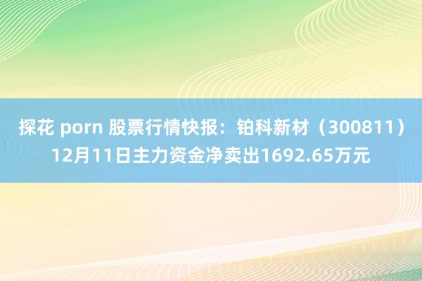 探花 porn 股票行情快报：铂科新材（300811）12月11日主力资金净卖出1692.65万元