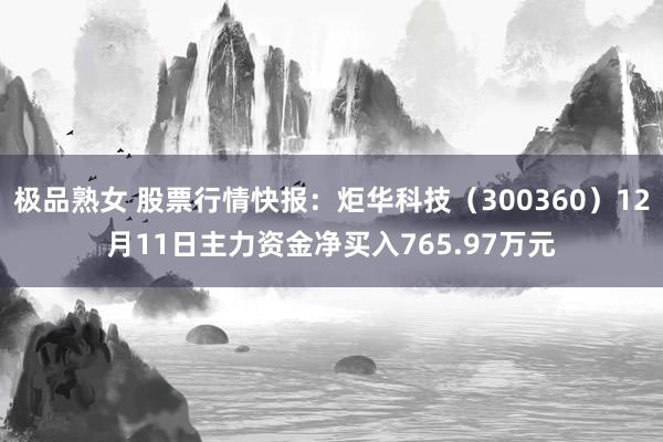 极品熟女 股票行情快报：炬华科技（300360）12月11日主力资金净买入765.97万元